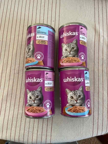 Photo of free Tinned Catfood (Adamsdown CF24) #1