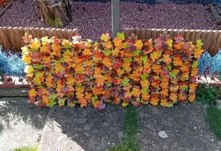 Photo of free Artificial Plant Trellis x 4 (Bottisham) #1