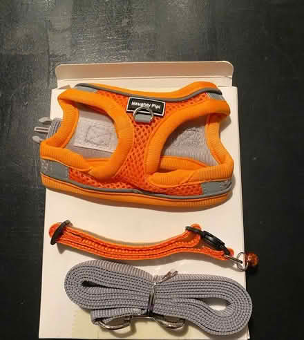 Photo of free Cat harness (Surrey Quays SE16) #1