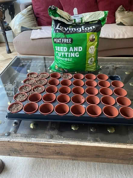Photo of free Seed starter kit (Chiswick) #1