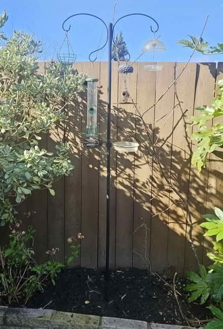 Photo of free Bird Feeder (Canning Town E16) #2
