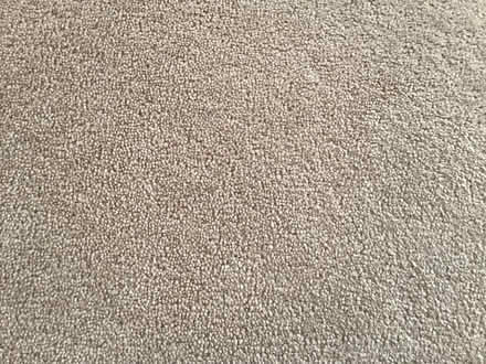 Photo of free Wool carpets from Guest Rooms (Winksley Ripon) #2