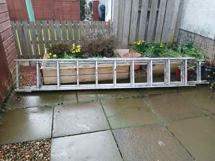 Photo of free Aluminium extending ladders (Jenny Lind G46) #1