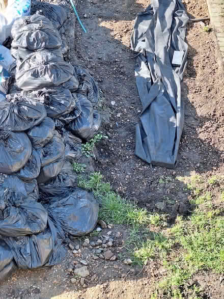 Photo of free top soil (Chertsey KT16) #1