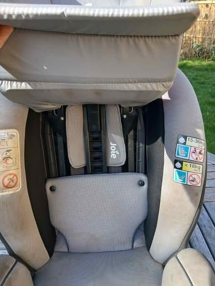 Photo of free Joie Child's Car Seat (Lode, Cambridgeshire) #1
