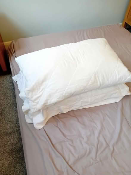 Photo of free Plump and squishy pillows! (Kingston Vale SW15) #1