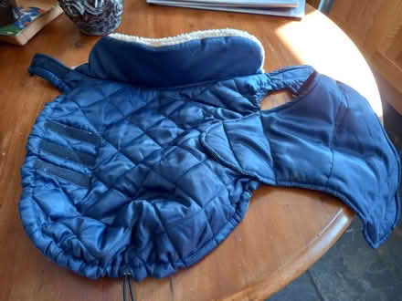 Photo of free Lined dog coat (Watton at Stone SG14) #1