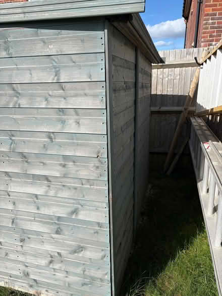 Photo of free Shed (Hampden Park BN22) #3