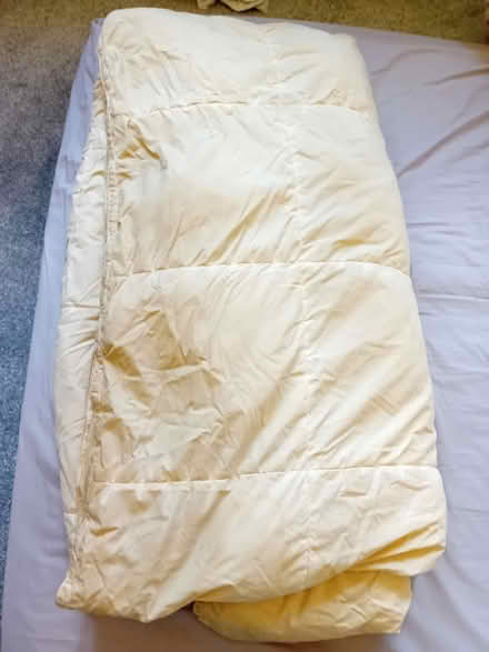 Photo of free Double duvet (Kingston Vale SW15) #3