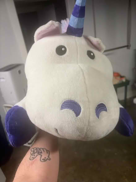 Photo of free Stuffed unicorn (Northgate) #2