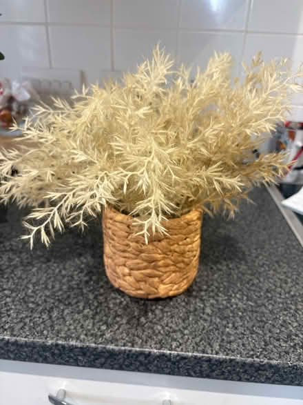 Photo of free Two faux plants (Victoria rd Edmonton N9) #1