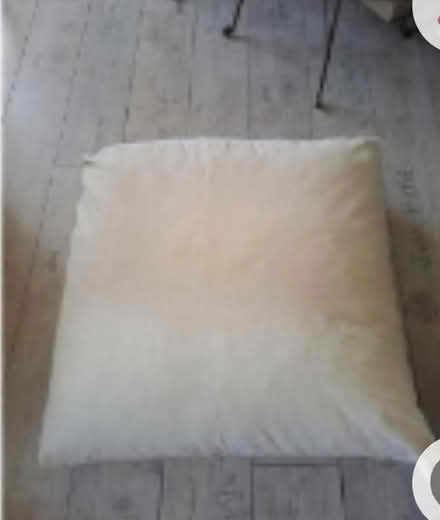 Photo of free Large Floor Cushions x2 - Brockley (Crofton Park, Brockley) #2