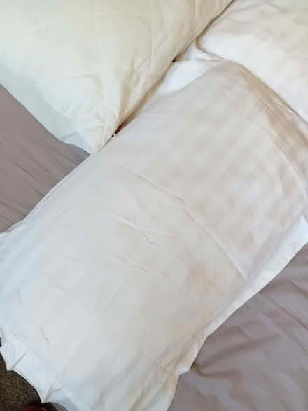 Photo of free Plump and squishy pillows! (Kingston Vale SW15) #3