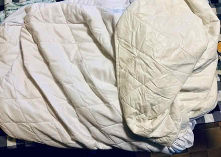 Photo of free King mattress protector (Lynnwood) #1