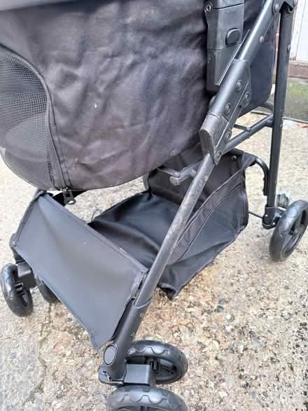 Photo of free Dog transport (Priory close) #4