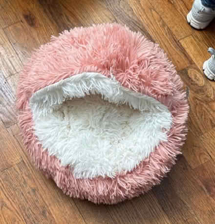 Photo of free Brand new SMALL pet bed (Clason Point Bronx NY) #1