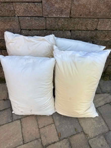 Photo of free Old Feather Pillows (Upper Hihn Rd.) #1