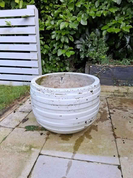 Photo of free Large white ceramic plant pot (BT8) #1