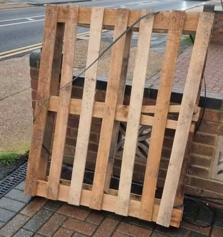 Photo of free 2xWooden pallets (basildon) #2