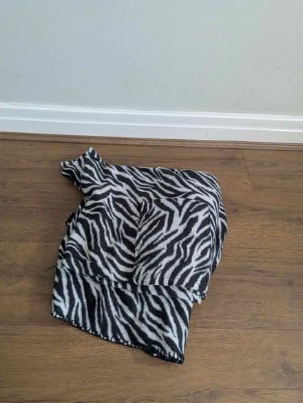 Photo of free Zebra print blanket (Rawdon LS19) #1