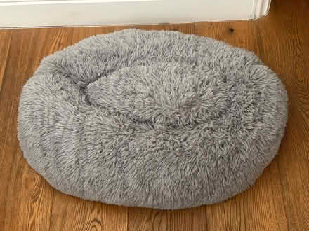 Photo of free Grey cat bed (N16 Nr Stoke Newington Common) #1