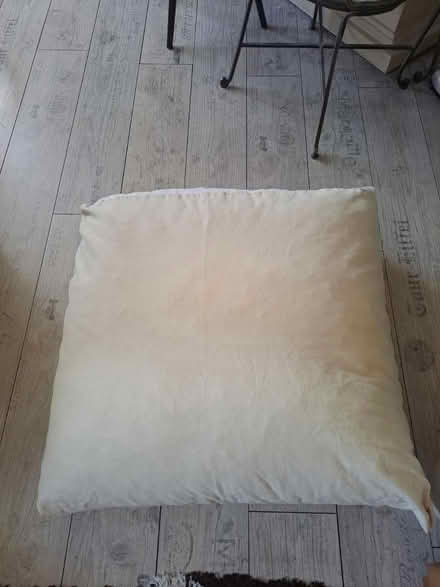 Photo of free Large Floor Cushions x2 - Brockley (Crofton Park, Brockley) #1