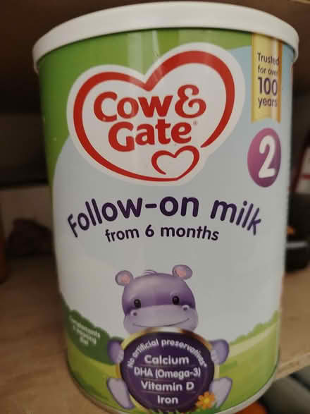 Photo of free Cow and gate 2 (CR7) #1