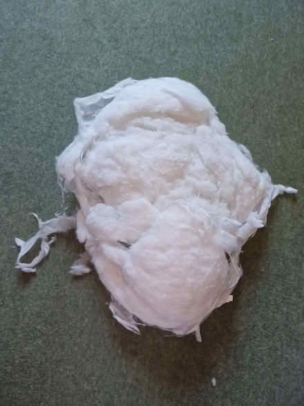 Photo of free Toy/Cusion stuffing (Burton BH23) #1