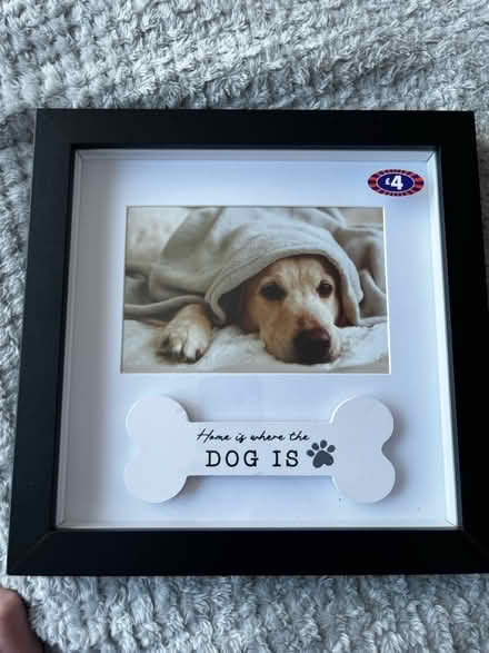 Photo of free Dog photo frame (TS14) #1