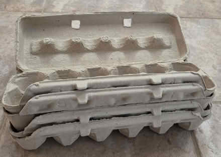 Photo of free Egg Cartons (Richmond Hill) #1