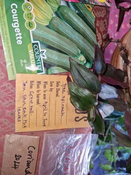 Photo of free Various opened packets of seeds (Northfield B31) #4