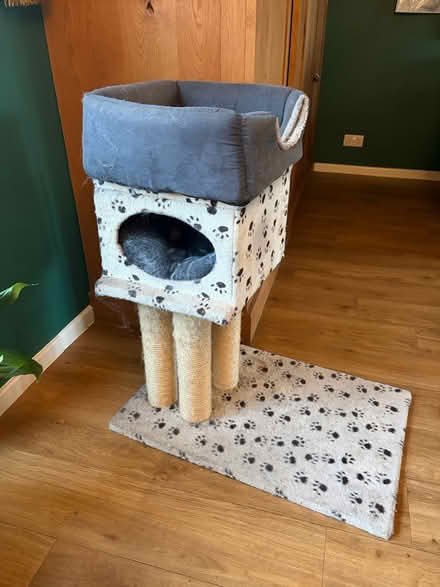 Photo of free High Cat bed/scratching post (Chellaston derby DE73) #1