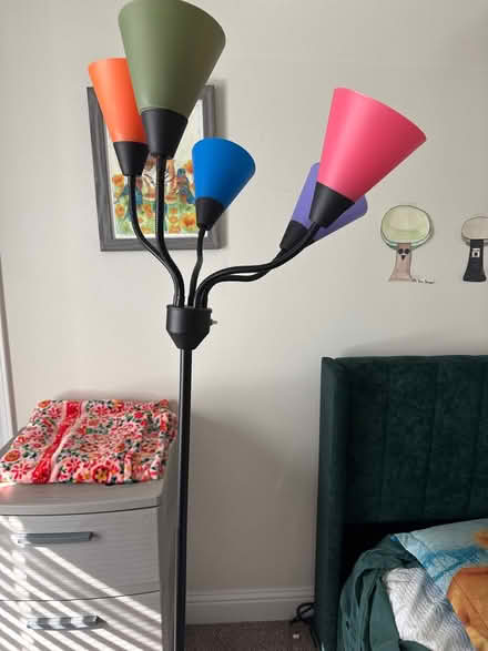 Photo of free Floor lamp (Fremont) #1