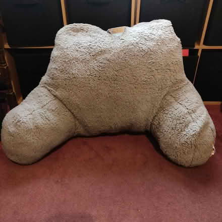 Photo of free Cuddle cushion (Woodside London SE25) #1