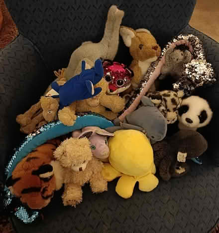 Photo of free Soft toys (EH3 Canonmills) #1