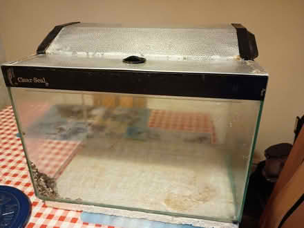 Photo of free 40 litre fish tank (Ainsdale-on-Sea PR8) #1