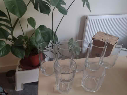 Photo of free Water glasses (Llanishen CF14) #1