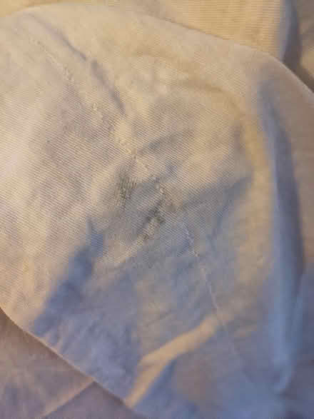 Photo of free Pair of pencil pleat curtains 270 cm track 140 cm drop (Cowley OX4) #4