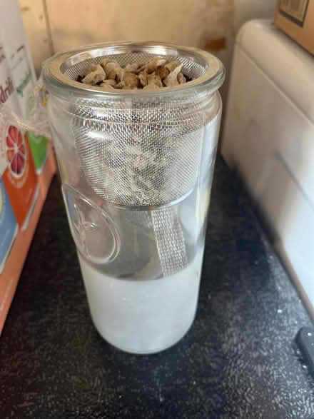 Photo of free Hydroponic jar (Rex Manor) #1