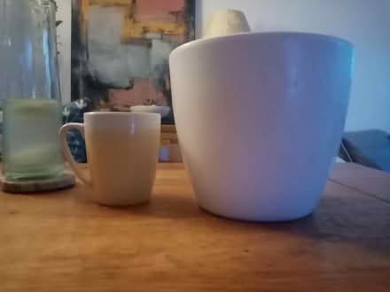 Photo of free Medium/large plant pot (Pimlico, SW1) #2