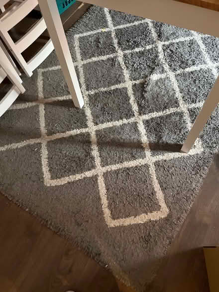 Photo of free Grey rug (lemington NE15) #1