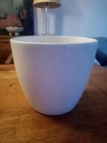 Photo of free Medium/large plant pot (Pimlico, SW1) #1