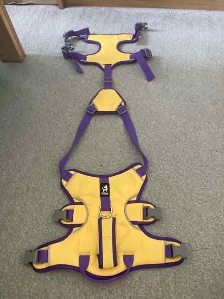 Photo of free Purple and Yellow dog harness (Beaconside ST16) #1