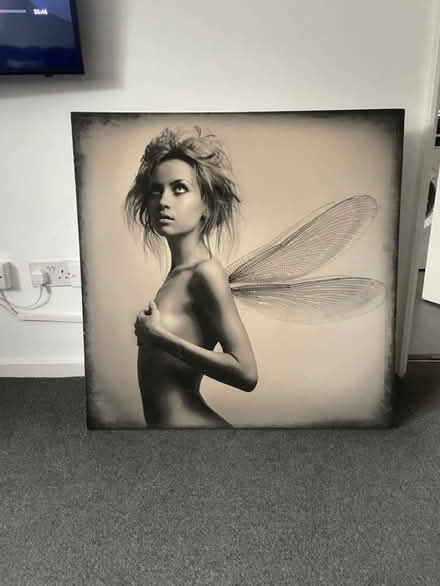 Photo of free Large Canvas (Ware SG12) #1