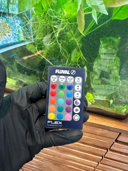 Photo of free 20g fish tank and (2)cube tanks (Scottdale/Avondale) #4