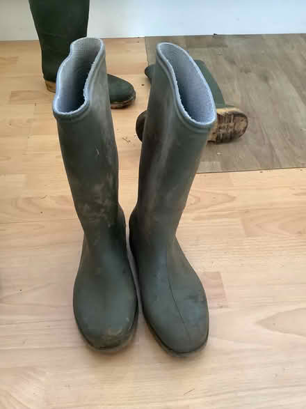 Photo of free Adult Size 3 green wellies (Brampton S40) #1