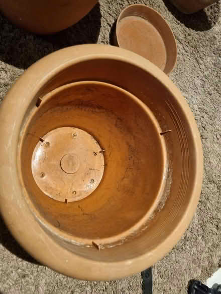 Photo of free Plant pots (SE20) #2