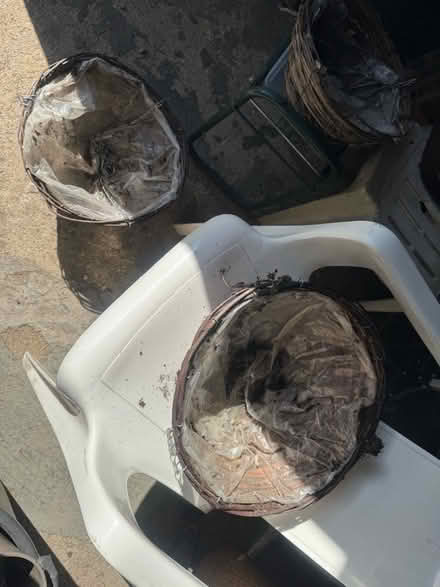 Photo of free 3 hanging baskets (Hale End E4) #1