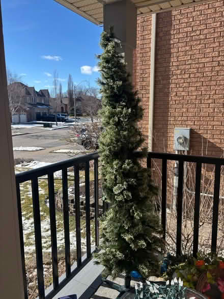 Photo of free 7 ft pencil tree (Waterdown) #1