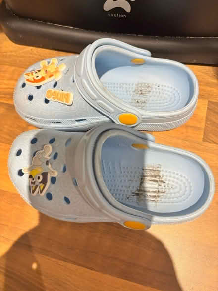 Photo of free Size 7 Bluey croc type slip ons (Chatham) #2